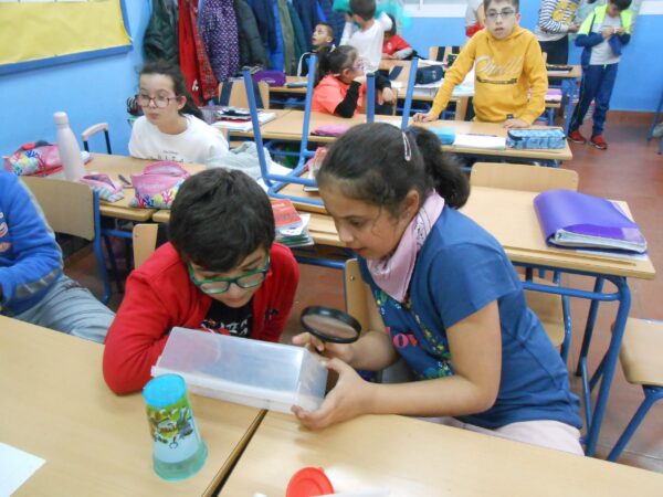 Taller de economía circular para niños - Imagen 2