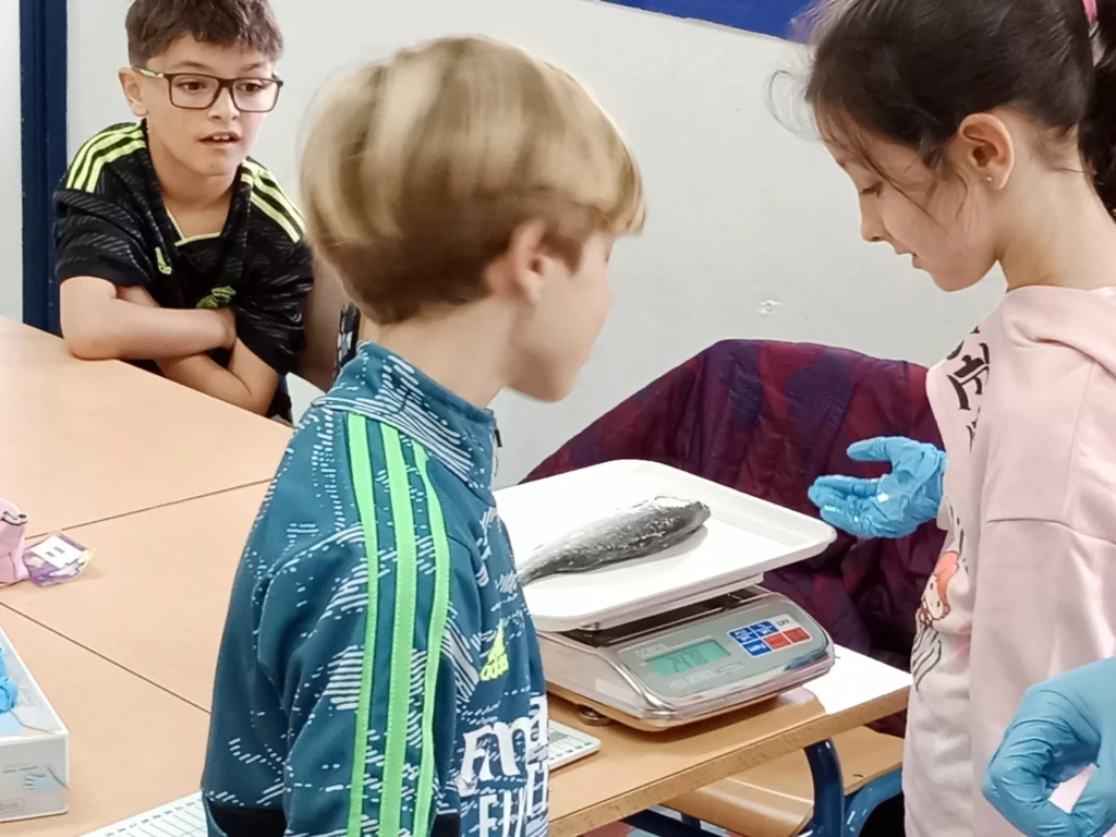 Niños observan un pez en una balanza durante una actividad educativa en clase. Uno lleva guantes azules.