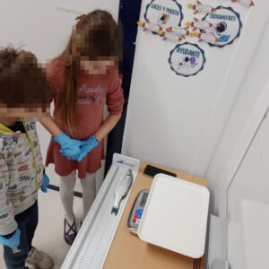 Taller de plástico en animales marinos para niños