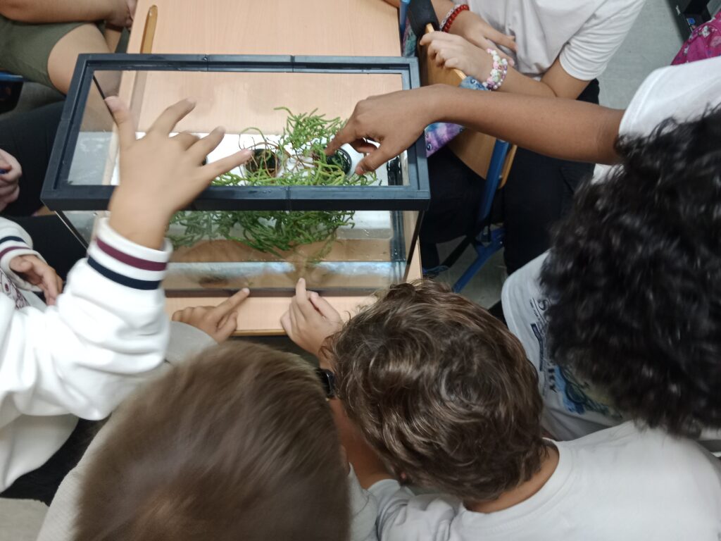 Foto niños con el acuario