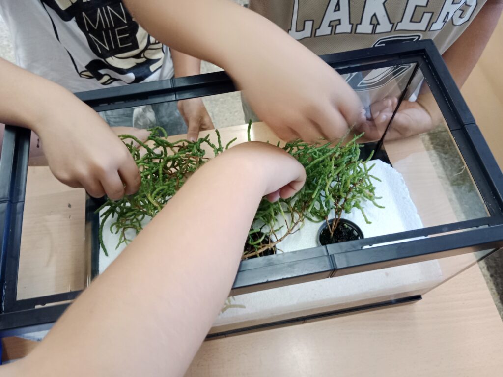 Niños con el acuario