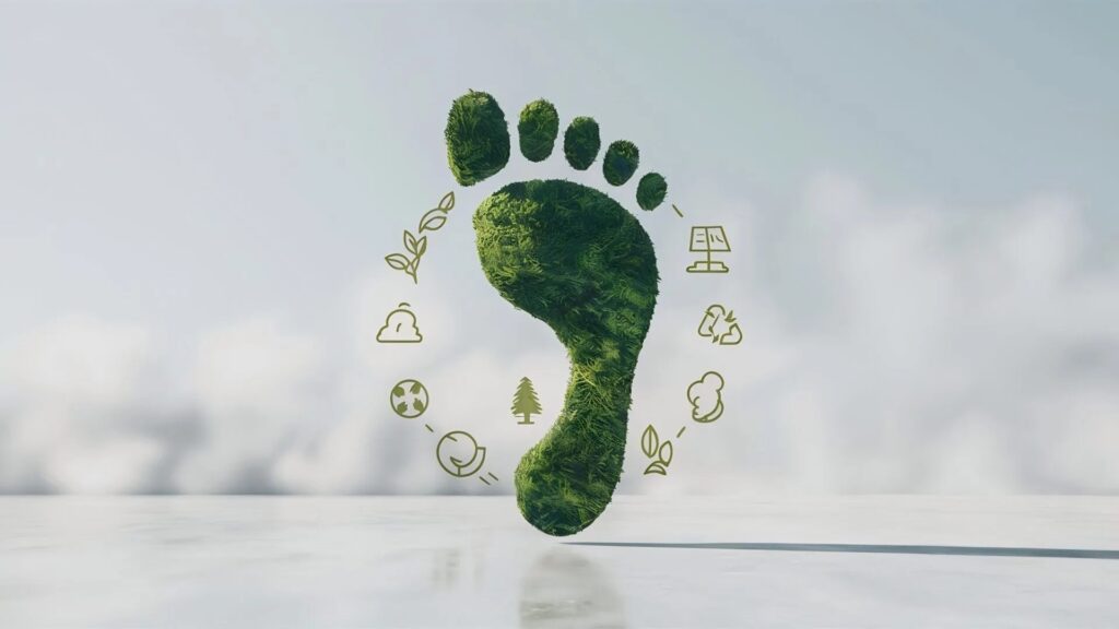 Webinar huella de carbono