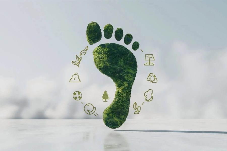 Webinar huella de carbono